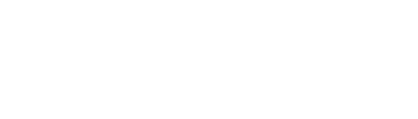 Logo soluinfo