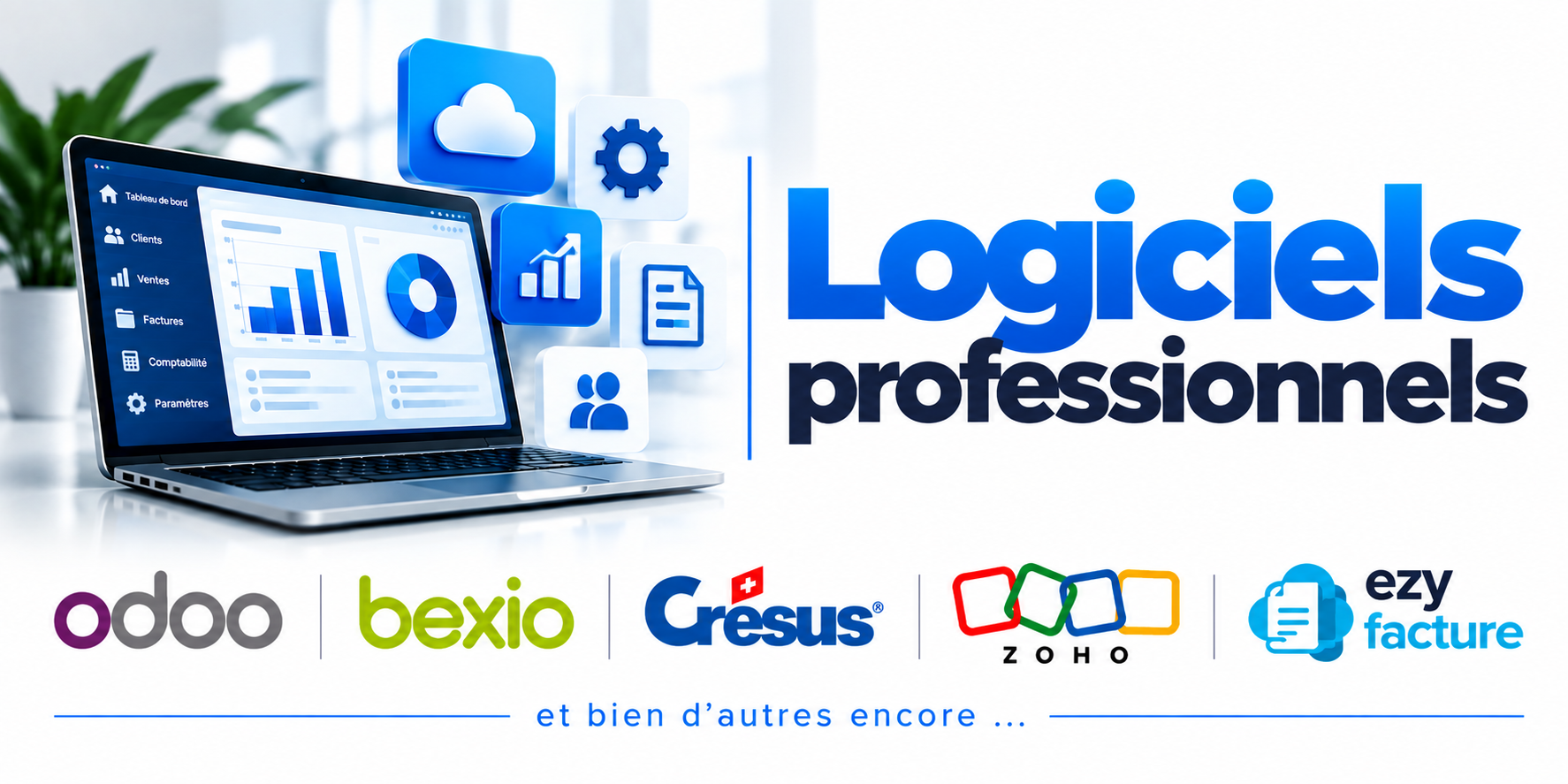 Logiciels professionnels