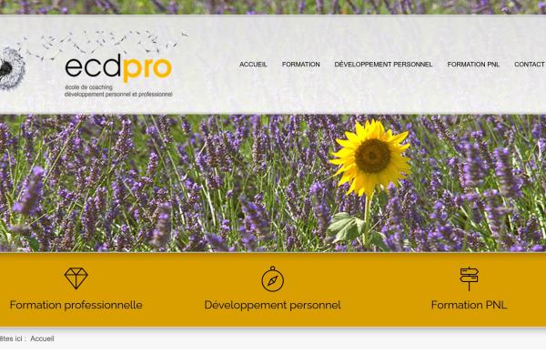 ECDpro 